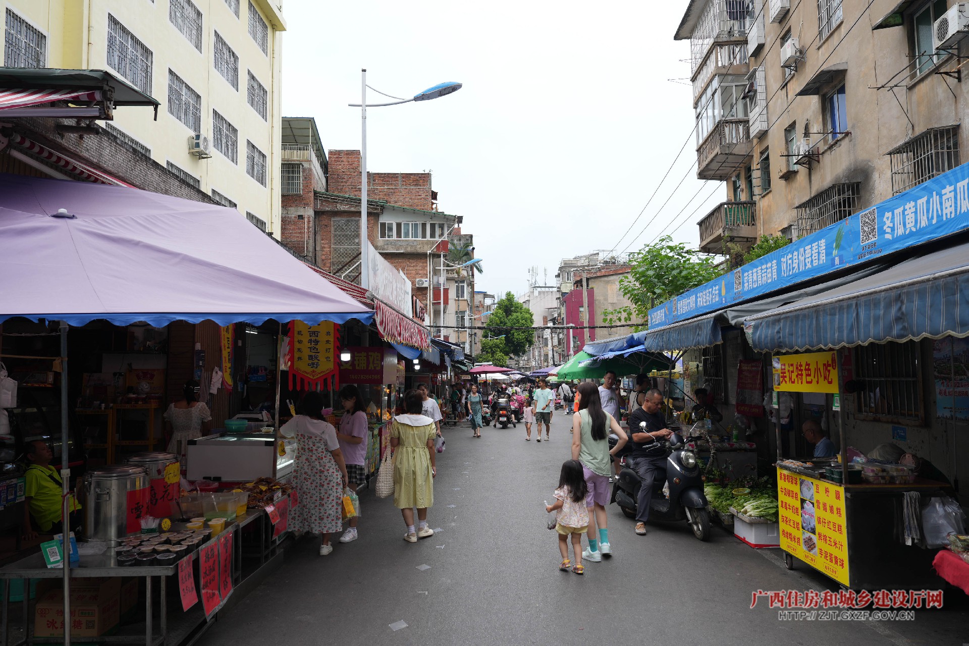 DSC01061.jpg